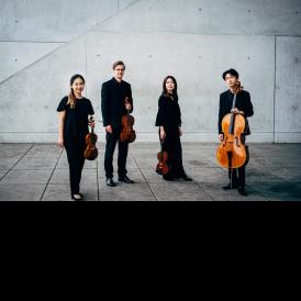 Hana Quartet