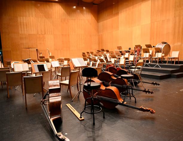 Ensayo-Orquesta contrabajos