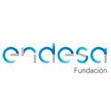 fundación endesa