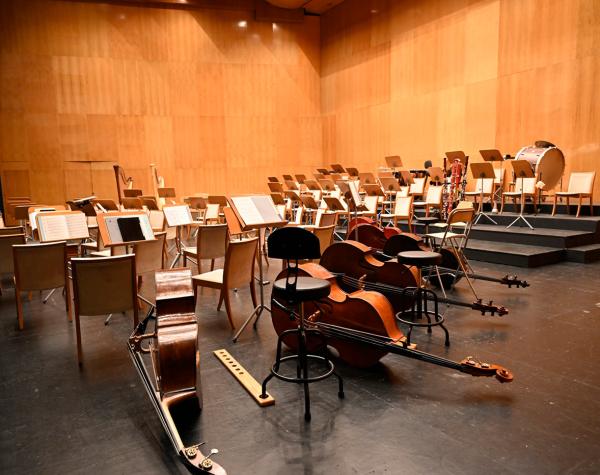 Ensayo-Orquesta contrabajos