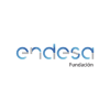 fundación endesa